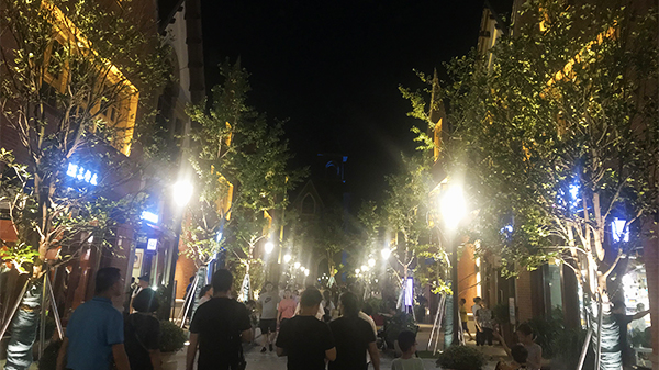 午夜福利视频免费看智慧旅游