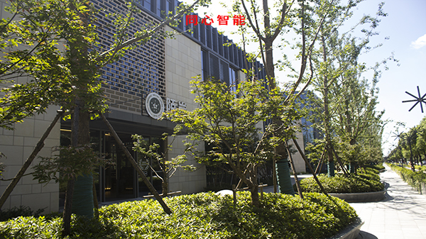 午夜福利视频免费看虹祺路商业街建设智能化